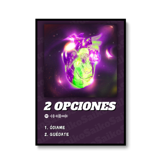 2 OPCIONES